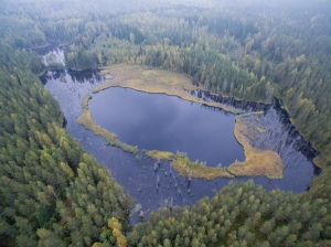 Ilmakuvasta pystyy helposti havaitsemaan alkuperäisen järven rantaviivan sekä majavan tulvaaman alueen. © Antti Nykänen